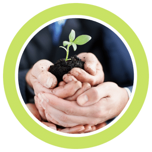 Estudos ambientais, treinamentos e programas de educação ambiental 